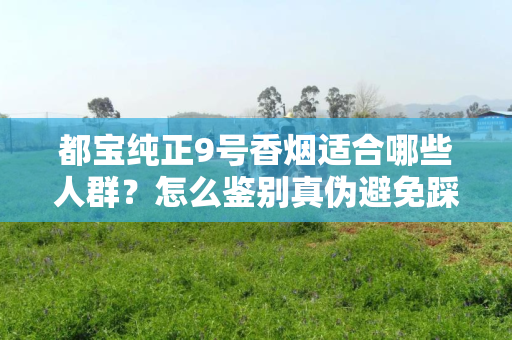 都宝纯正9号香烟适合哪些人群？怎么鉴别真伪避免踩坑？